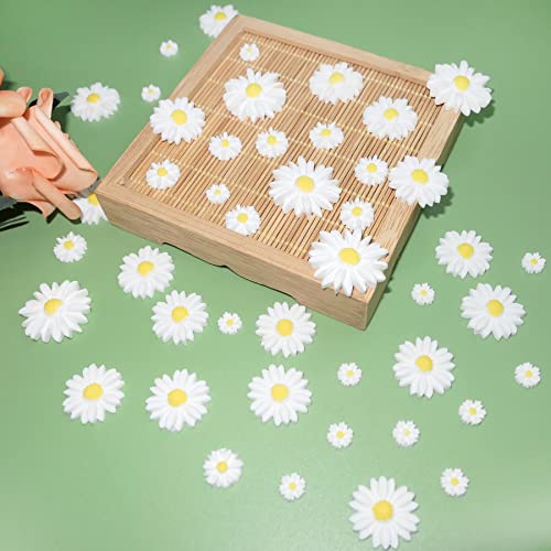 Haddiy Resin Daisy Flowers For Craft,50 Pcs Small Flatback White Decorative Daisy For Scrapbook Embellishment,Diy And Daisy Party Decorations-No Hole #TOP3
