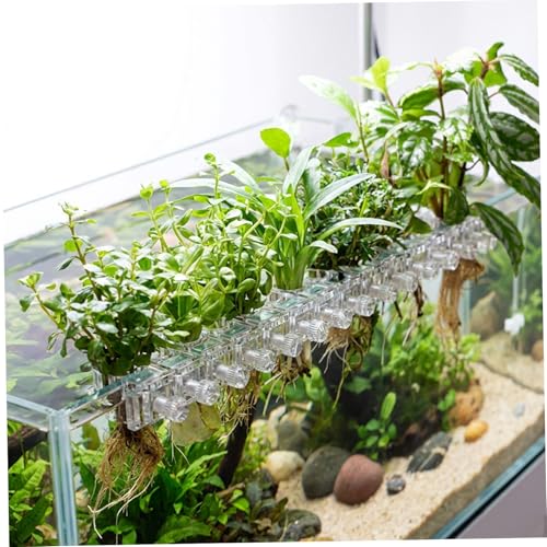 Soporte para plantas de acuario transparente en forma de U pack de 12 unidades para paisajismo 8