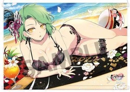 Amazon.co.jp: シノビマスター 閃乱カグラ 描き下ろし B2タペストリー