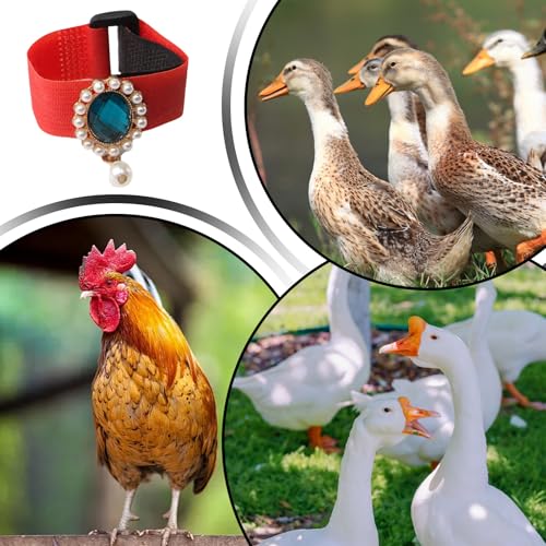 Verstellbarer Gurt für Tiere, Geräuschunterdrückung für Hähne, robustes Hundehalsband aus echtem Leder, verstellbares rotes Design, weich und stark, mit Metallschnalle, verhindert das Geschi-5