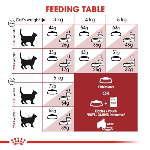 Royal Canin Katzenfutter Feline Fit 32, 1er Pack (1 x 10 kg Packung)