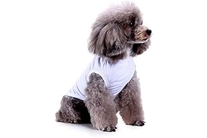 White Dog Sweater: A Cozy Garb for Your Furry Friend