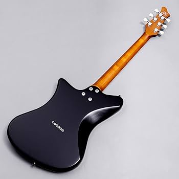 Amazon | RYOGA SKATER/LEC-v2 Monochrome Black エレキギター