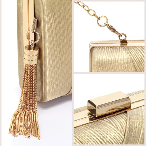 Image of CARIEDO Women's Evening Handbag Clutch Bridal Purse for Wedding Prom Night Out Party