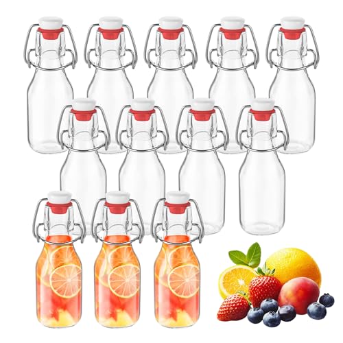 DUBUOZA Glasflaschen 100 ml mit Bügelverschluss 12 Stück Kleine Flaschen zum Befüllen Bügelflaschen Zum Befüllen Öl Wein Wasser oder Saft