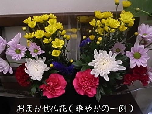 Amazon おまかせ仏花小 華やか 生花 １対 同種類の２束セット 35cm 45cm 50 2対 4000 お届けのご希望日時は注文日から 4 営業日で必ずご指定ください １０対 ２０束 まで１個分の送料です 45cm以下 洋花仏花小 仏花大 仏花特大 お供え花束