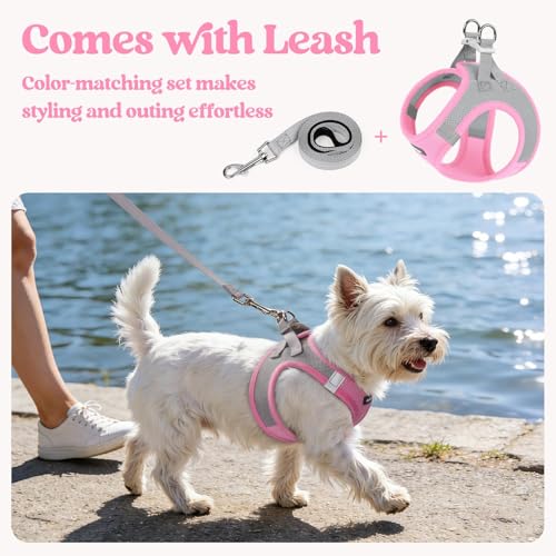 Image of rabbitgoo Dog Harness Small Sized and Leash Set, Step-in Puppy Pet Vest