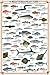 Produktbild Educational Mediterranean Fish - Mittelmeer Fische Bildung Lernposter Druck