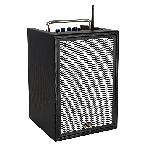 Sunburst Gear M6BR8 Portable All-in-One Six Channel Rechargeable Mixer/Monitor Speaker System with Bluetooth