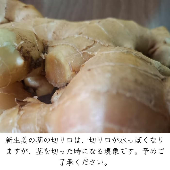 Amazon.co.jp: 【有機JAS認証新生姜 季節限定 NHK世界はほしいモノに 