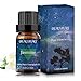 BURIBURI Jasmine Essential Oil, 100% Pure, Undiluted, Natural, Organic Aromatherapy Jasmine Oils 10ML for Massage, Diffuser, Soap Making Candle Making