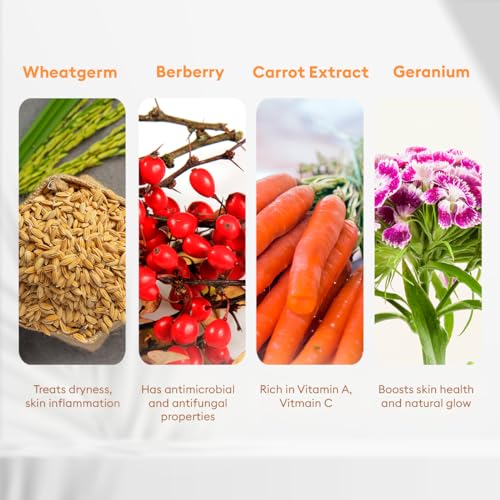 Image of VLCC Skin Tightening Facial Kit - 25g X 3 (75g) (Pack of 3) | Skin Elasticity Facial | Helps Remove Toxins and Reduces Blemishes | With Berberry, Wheatgerm, Carrot Extract, and Geranium