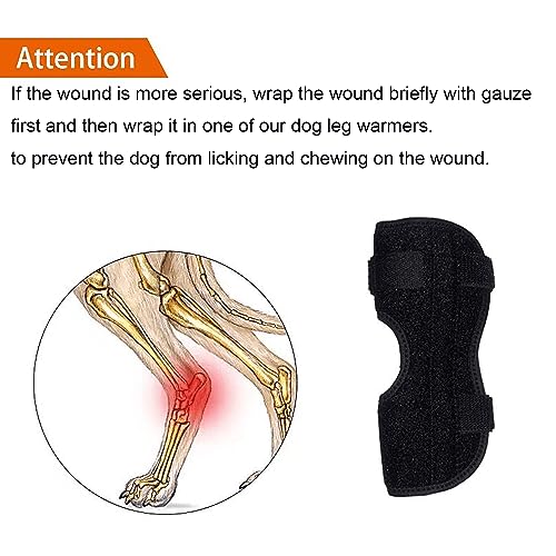 Image of Anosiar Dog Rear Leg Hock Brace, Pair of Canine Dog Leg Joint Wraps Compression Brace Protects Wounds, Heals and Prevents Injuries and Sprains Helps with Loss of Stability Caused by Arthritis (XL)