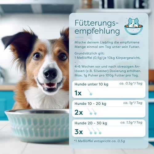 Dr. SAM Premium Anti-Stresspulver für Hunde - RelaxPet als natürliches Beruhigungsmittel für Entspannung bei Angst & Stress - Ruhe beim Reisen und besonderen Anlässen - hochdosiert - 45g