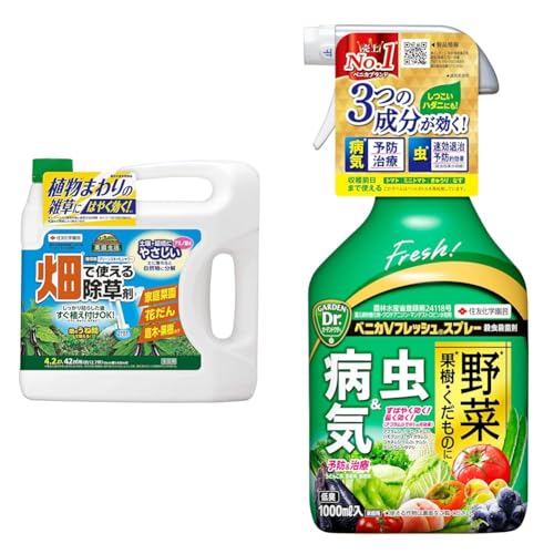 �y�Z�b�g�����z�Z�F���w���| ������ �O���[���X�L�b�g�V�����[4L+�E���E�ۍ� �x�j�JV�t���b�V���X�v���[ 1000ml