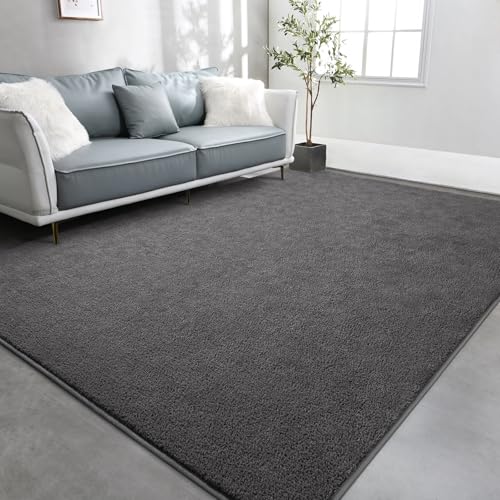 TWINNIS Large Area Rugs for Living Room Bedroom, 4×6 Feet, Super Soft Indoor Thickened Memory-Foam Carpets Easy-Cleaning, Modern Aesthetic Minimalist Comfy Rug for Kids Room Home Decor, Dark Grey