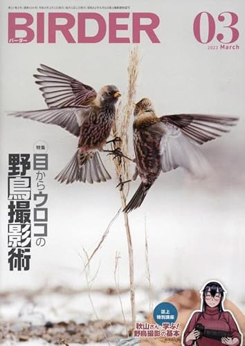 BIRDER 2023年 03 月号 [雑誌]