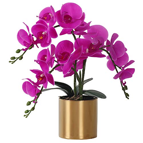 LESING Flor Artificial de orquídea con jarrón, orquídea Blanca bonsái de imitación de orquídea Phalaenopsis, arreglos de macetas para decoración del hogar (Morado, jarrón Dorado)