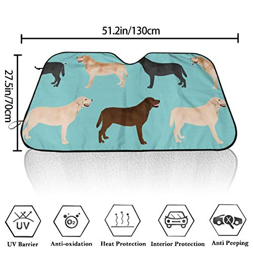 Preisvergleich Produktbild MOLLUDY Sonnenschutz Auto Frontscheibe Windschutzscheiben Abdeckung Faltbare Frontscheibenabdeckung Nette Labradors gelbe Schokolade Black Lab Pet Dogs 70 * 130cm