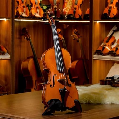 Professional Violin European Workshop Violin Warm Brown Color Mountains Tonewood Ebony Accessories - Image 2