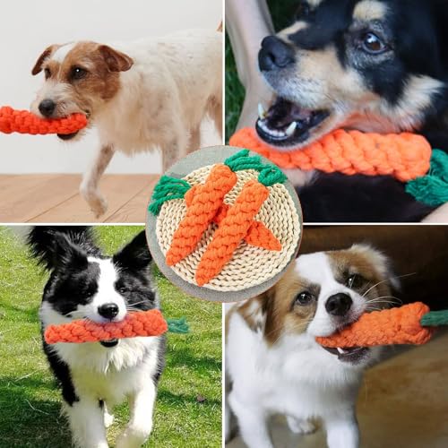 AWYY 2 Stück Karotte Hundespielzeug, Puppy Karotte Seil Spielzeug Geflochtene, Kauspielzeug für Welpen, Hunespielzeug aus Geflochtenem Seil, Hundespielzeug für Kleine Mittelgroße Welpen, Zeaying96