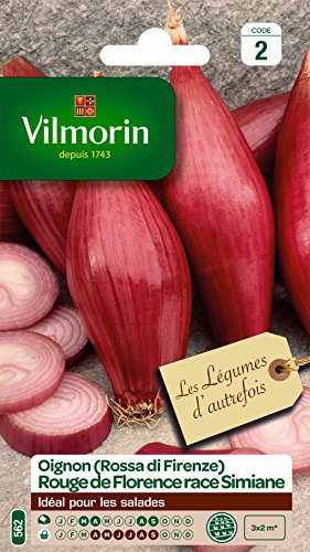Vilmorin 3751142 Pack de Graines Oignon de Florence Race de Simiane Rouge