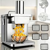 Robot da cucina elettrico professionale da 250 W con 5 lame per verdure, tritatutto e affettatrice in acciaio inossidabile per verdure, ideale per ristoranti, cucine, ristoranti cucina, cucina, cuci