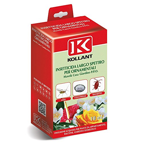 KOLLANT mavrik casa ins. PPO lúmenes jardín, única