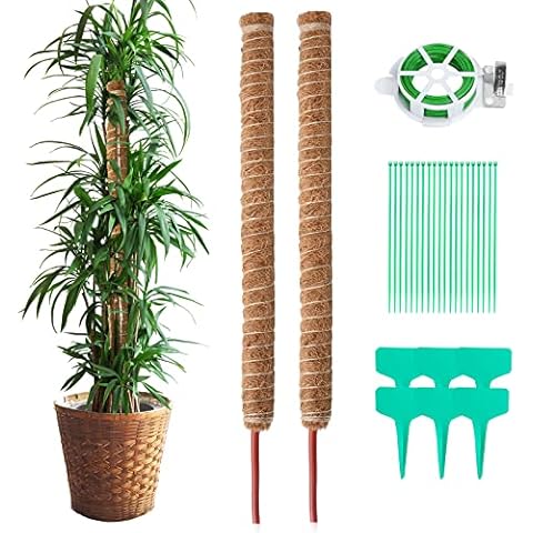 Cerdeti Monstera Rankhilfe, 2Pack 70cm Pflanzstab Kokos, Biegsame Moosstab für Monstera, 20M Gartenbinder mit eingebautem Schneider,2pc 2m Jute Schnur,6 Kunststoff-Pflanzenetiketten und 20 Kabelbinder Cover