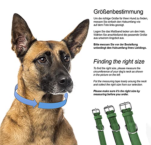 Schnüffelfreunde Halsband für Hunde aus Leder, Hundehalsband für den großen, mittleren und kleinen Hund, Lederhalsband gepolstert, robust (L - 36-45cm, Grün)