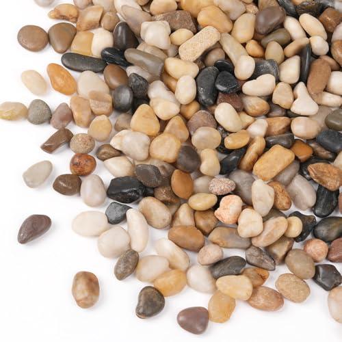 Calofulston 5lb Drainage Rocks for Potted Plants, 1/5 Inch Small Pebbles for Plants, Aquarium, Fish Tank, Terrarium, Succulent, Vases, Cactus, Decorative Pea Gravel for Plants, Mixed Color