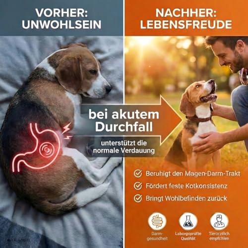 vetiness EnteroFit Durchfallstopp Paste für Hunde 30 ml – bei akutem Durchfall Hund und Darmstörungen – Diätergänzungsfuttermittel mit Aktivkohle, Bentonit und Probiotikum
