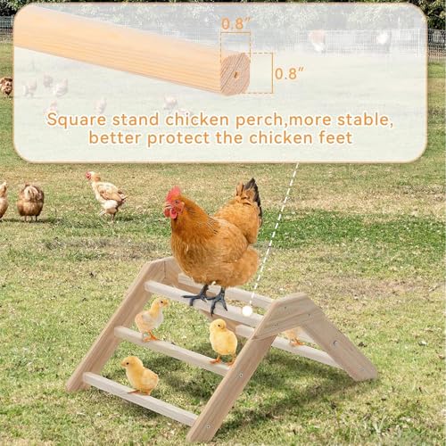 Percha para pollitos y soporte de madera para animales pequeños 4