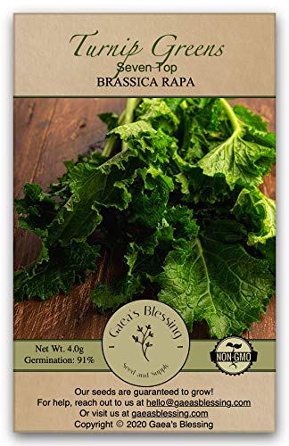 Gaea's Blessing Seeds - Turnip Seeds (600 Seeds) Seven Top Non-GMO Seeds with Easy to Follow Planting Instructions - Heirloom Germination Rate 91% Net Wt. 4.0g Gaea's Blessing Seeds - Turnip Seeds (600 Seeds) Seven Top Non-GMO Seeds with Easy to Follow Planting Instructions - Heirloom Germination Rate 91% Net Wt. 4.0g
