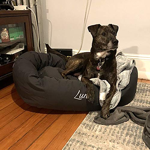 Image of Majestic Pet Personalized 24 Inch Bagel Calming Bed - Washable Cozy Soft Round With Spine Support for Dogs to Rest Their Head - Fluffy Donut 24x19x7 (Inch) - Small - Black