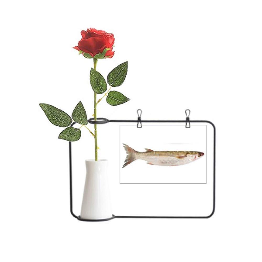 Bouteille vase suspendu fleur artificielle style océan pour salon