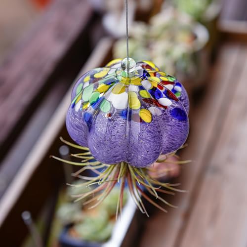 H&D Hyaline & Dora Hanging Hand Blown Art Glass Jellyfish Air Planter Terrarium Decor For Garden Porch Windowsill  thumb #1