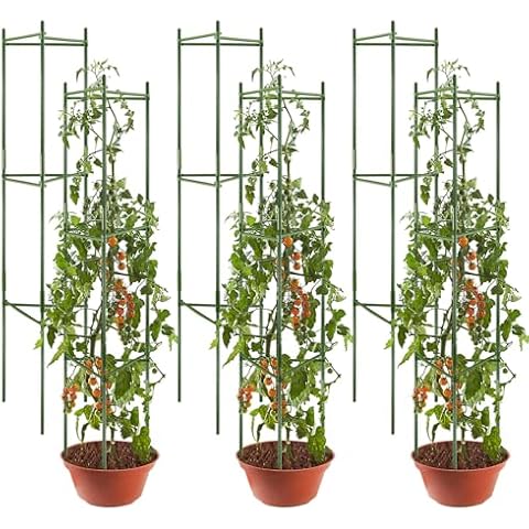 flowlamp 6 Packs Tomato Cages Supports, Tomato Plant Support Deformable Assembled Tomato Stakes, Up to 48Inch Multi-Functional Tomato Cage for Garden Plant Support Stakes Cover