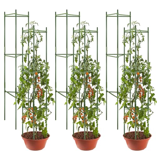 Piquets déformables assemblés pour tuteurage de tomates modulable - 2
