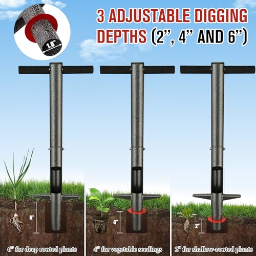Bulb Planter Tool, 33.5 pulgadas mango largo para plantar miniatura 4