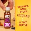 Vive Organic Immunity Boost Elderberry, Ginger and Turmeric Wellness Shot, 2 fl oz Bottles, 12-Pack