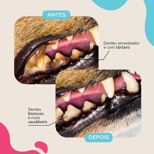 Kit 2 Xô Bafinhos: Tratamento Bucal Sem Alcool, Flúor ou Sabão - Ideal para Cães e Gatos - 250 ml -
