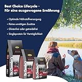 DR.CLAUDER’S - Best Choice Adult Medium | Trockenfutter für kleine und mittelgroße, ausgewachsene Hunde zur Unterstützung der Verdauung. Weizenfreies Alleinfutter im Beutel | 12,5kg Geflügel
