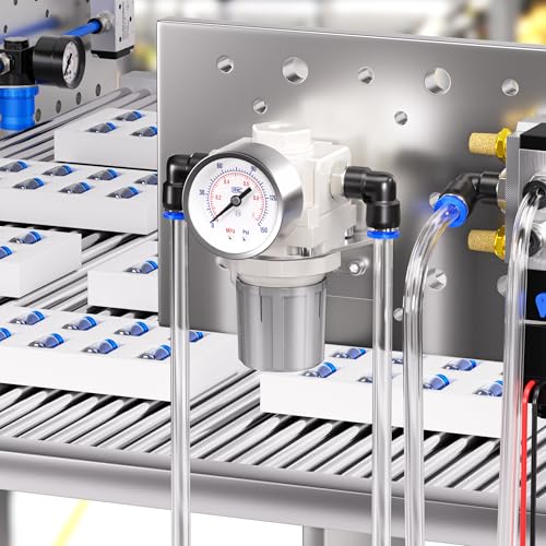 Régulateur de pression robuste Tailonz Pneumatic avec filetages NPT 6,35 mm étanches - 5