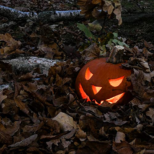 Nightmarish Tracks for the Scariest Halloween Party Ever by Haunted