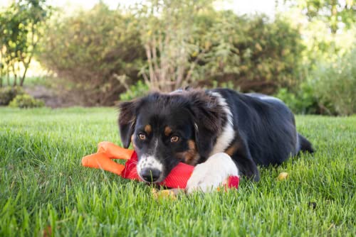 Hozies Billy Bengal – extra Starkes Feuerwehrschlauch Hundespielzeug – Starkes Hunde Kuscheltier für den Welpen – Hundespielzeug Seil - Small
