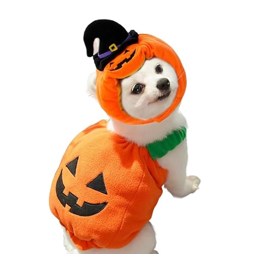 【2025年のNEWスタイル】犬 小型犬 猫 ペット 服 帽子 2点セット ハロウィン かぼちゃ コスプレ 被り物 仮装 ドッグウェア 可愛い 冬服 飾り コスチューム パーティー 撮影道具 プレゼント アクセサリー コスプレキ服 変身(S/3-6kg)