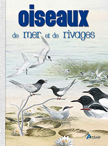 Oiseaux de mer et de rivages (0)