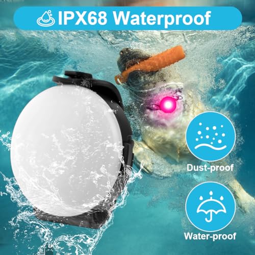 AUAUY Sicherheits LED Blinklicht, 4 Modis Hundelicht IPX68 Wasserdicht Haustier Lichter, USB Wiederaufladbar Hunde Katzen Leuchtanhänger, Einstellbar LED Licht für Nachtspaziergänge Laufen Camping