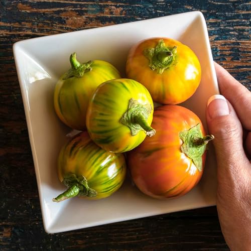 Eden Brothers Eggplant Seeds - Turkish Orange
